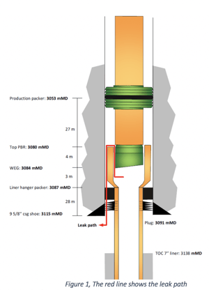 leak path - figure 1