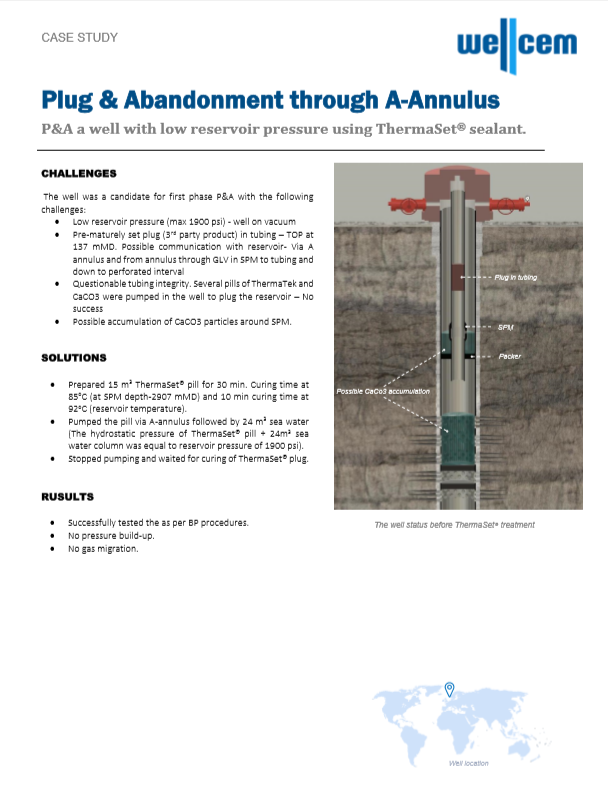 [Case Study] Plug & Abandonment through A-Annulus